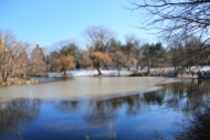 One of the lakes in Central Park
